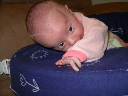 Paisleyd04 353.jpg (1094652 bytes)