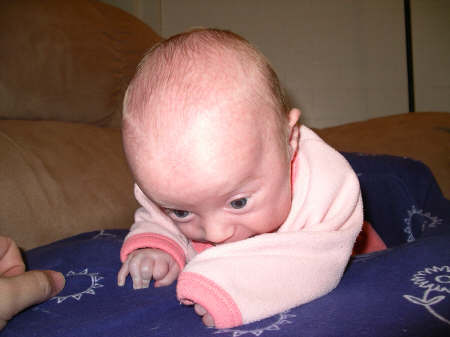 Paisleyd04 361.jpg (1165876 bytes)