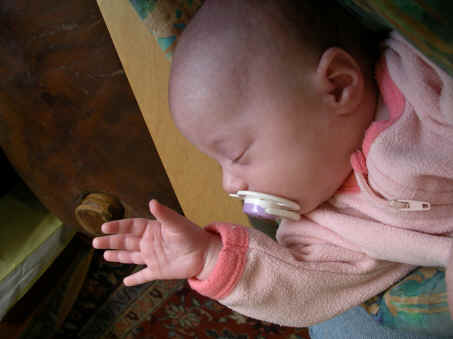 Paisleyd04 377.jpg (1059058 bytes)