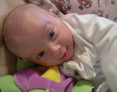 Paisleyd04 520.jpg (519130 bytes)