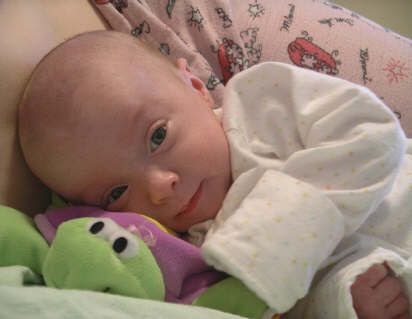 Paisleyd04_522.jpg (15901 bytes)