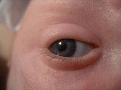 Paisleyd04 538.jpg (463763 bytes)