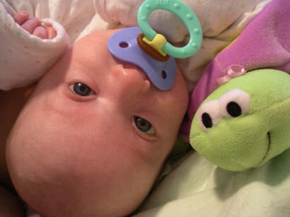 Paisleyd04 540.jpg (465994 bytes)