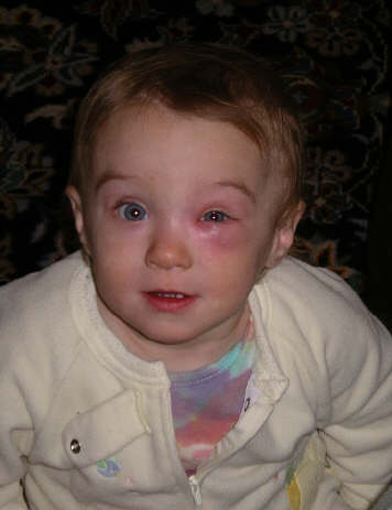 Paisleyd05 115.jpg (2478163 bytes)