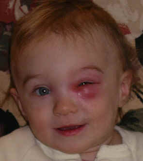 Paisleyd05 124.jpg (2997232 bytes)