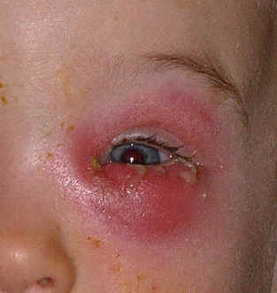 Paisleyd05 126.jpg (3247741 bytes)