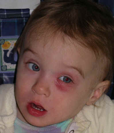 Paisleyd05 137.jpg (2989995 bytes)