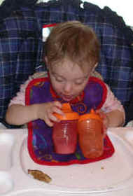 Paisleyf06 001.jpg (2636677 bytes)