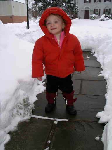 Paisleyf06 123.jpg (2164575 bytes)