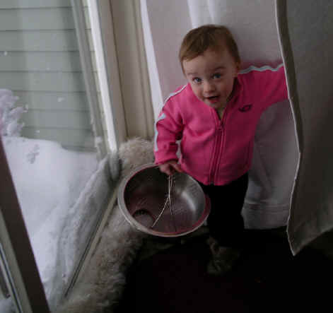 Paisleyf06 130.jpg (1924562 bytes)