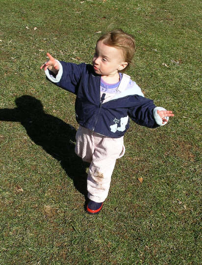 Paisleyf06 162.jpg (2659962 bytes)