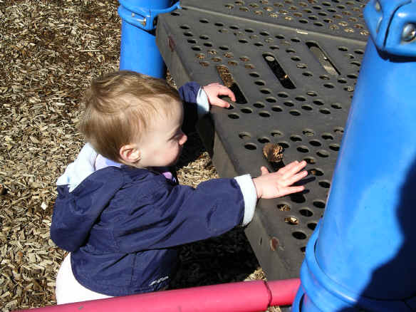 Paisleyf06 235.jpg (772892 bytes)