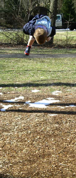 Paisleyf06 243.jpg (1842830 bytes)