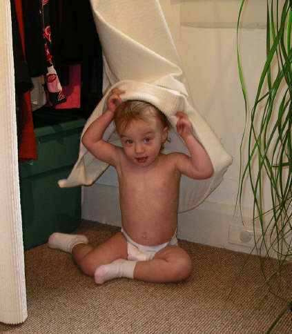 Paisleyf06 263.jpg (846035 bytes)