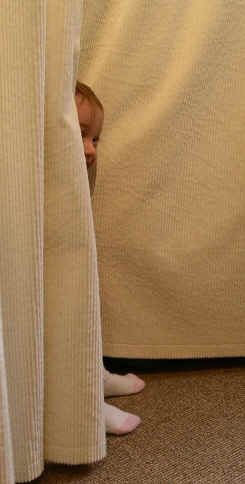 Paisleyf06 267.jpg (785499 bytes)