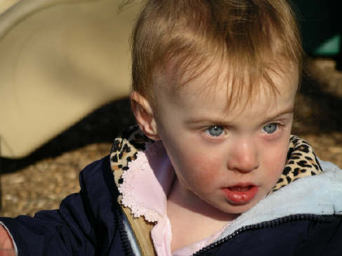 Paisleyj06 3400.jpg (2429130 bytes)