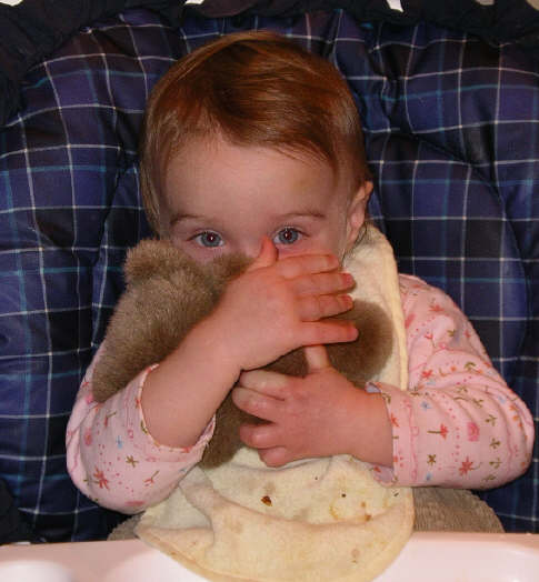 Paisleyj06 3411.jpg (3209036 bytes)