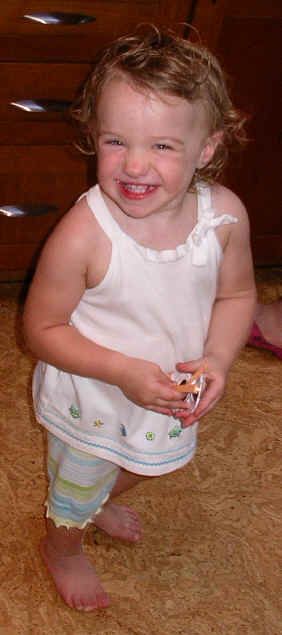 Paisleyjuly06 002.jpg (1261811 bytes)