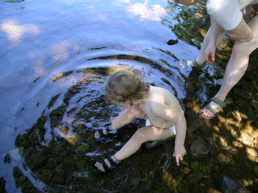 Paisleyjuly06 057.jpg (1142059 bytes)