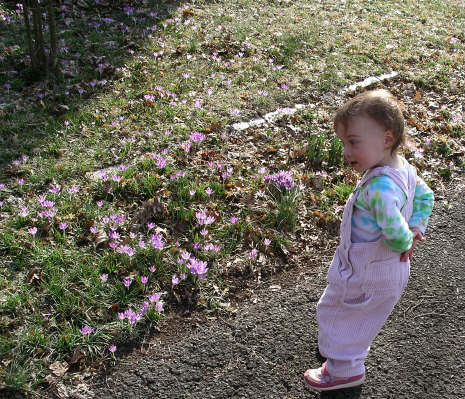 Paisleym06 097.jpg (2891802 bytes)