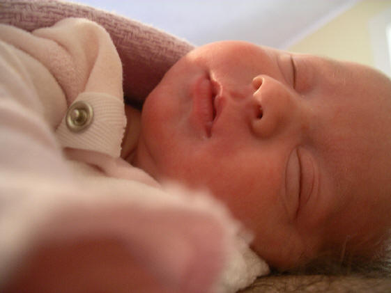 Paisleyn04 084.jpg (454382 bytes)