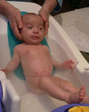 Paisleyn04 141.jpg (1037000 bytes)