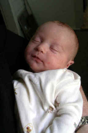 Paisley 079.jpg (366063 bytes)