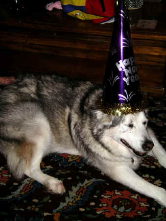 Paisleyj06 2441.jpg (411072 bytes)