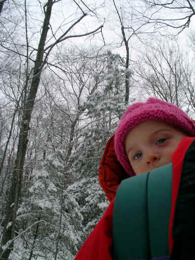 Paisleyj06 3121.jpg (513272 bytes)