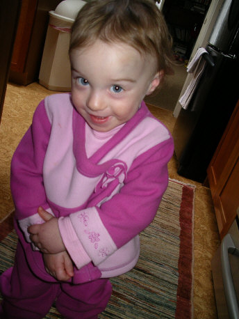 Paisleyj06 3329.jpg (2988479 bytes)