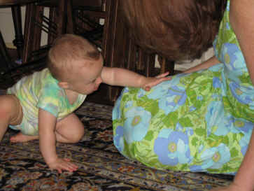 neil's chip 306.jpg (1861164 bytes)