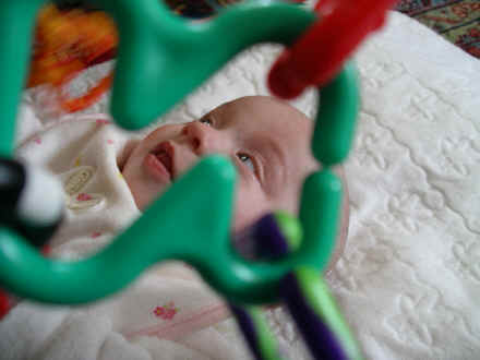 paisley 003.jpg (466841 bytes)