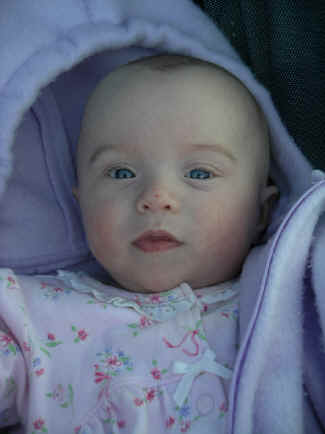 paisley 027.jpg (324278 bytes)