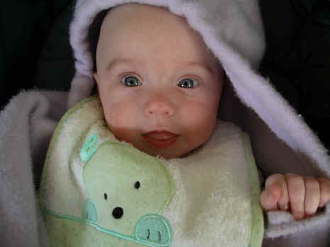 paisley 042.jpg (424380 bytes)