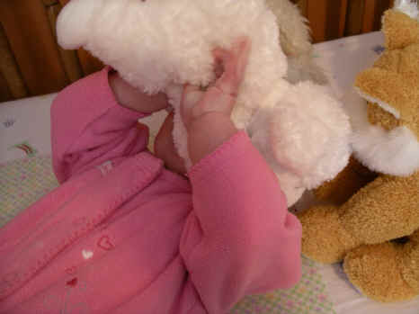 paisley 058.jpg (465555 bytes)