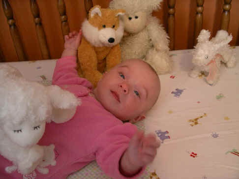 paisley 062.jpg (465270 bytes)