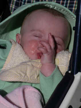 paisleya 002.jpg (801944 bytes)