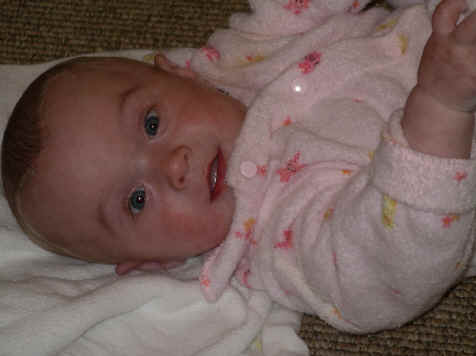 paisleya 042.jpg (1175364 bytes)