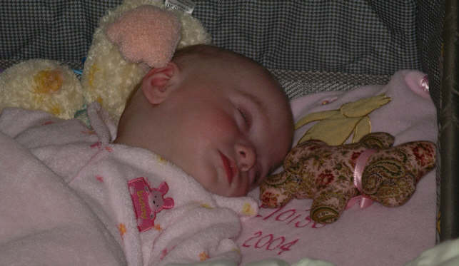 paisleya 044.jpg (1070674 bytes)