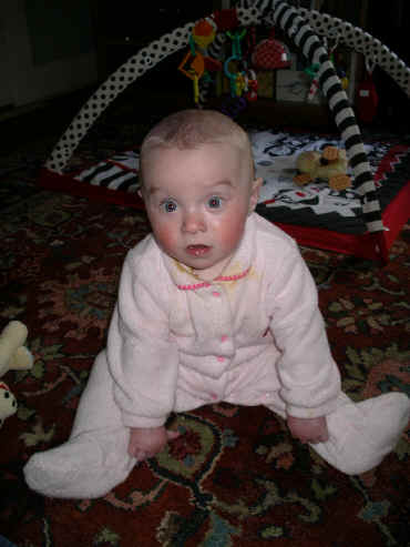 paisleya 070.jpg (977951 bytes)