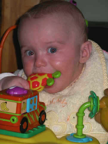 paisleya 089.jpg (1017333 bytes)