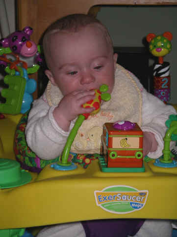 paisleya 091.jpg (1018520 bytes)