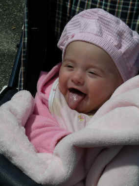 paisleya 102.jpg (760176 bytes)