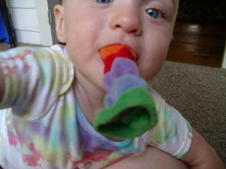 paisleyaa05 017.jpg (839607 bytes)