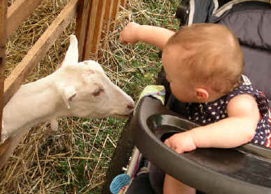 paisleyaa05 083.jpg (831745 bytes)