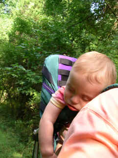 paisleyaa05 413.jpg (679222 bytes)