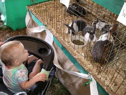 paisleyaa05 506.jpg (869601 bytes)