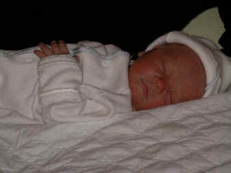 paisleym 078.jpg (468630 bytes)