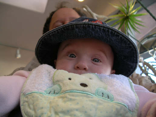 paisleym 199.jpg (309800 bytes)