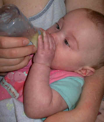 paisleym 315.jpg (1117054 bytes)